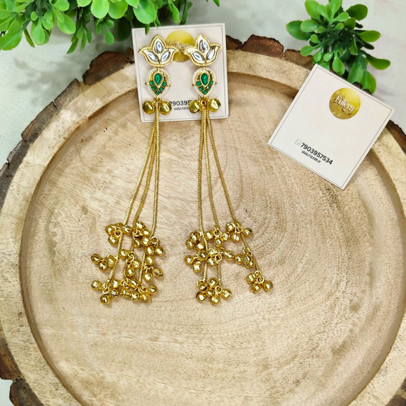 Long Kashmiri Earrings